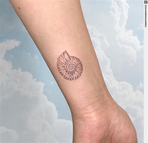 what is ammonite tattoo.